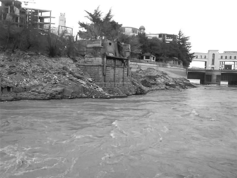 DSC00149__Large_.jpg