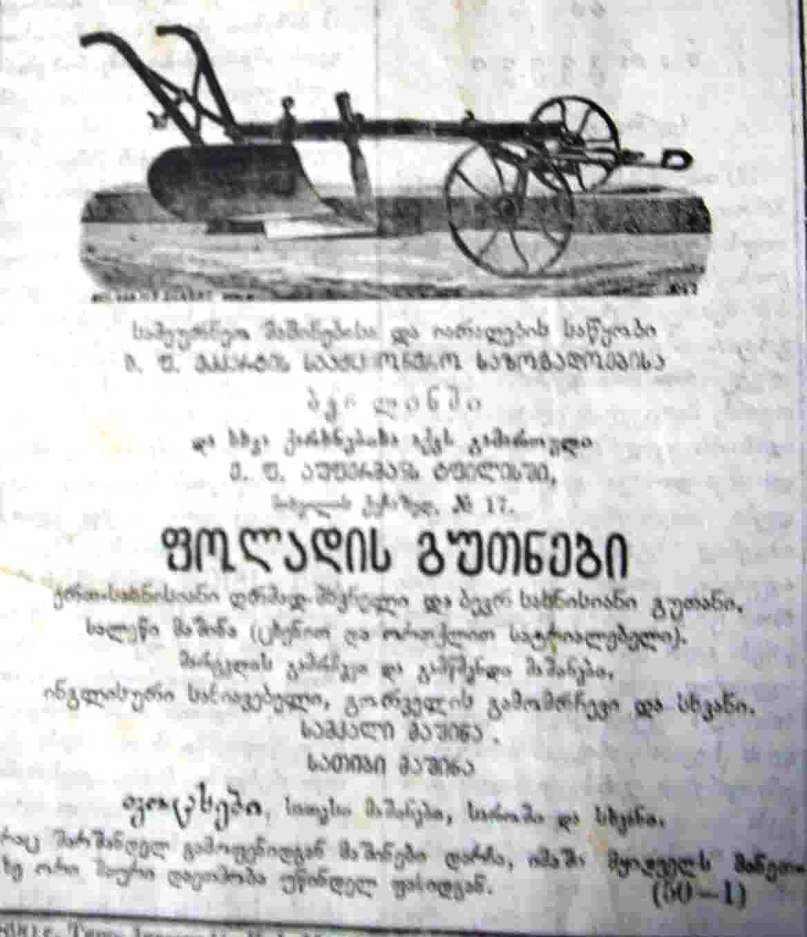 IMGP5185.JPG