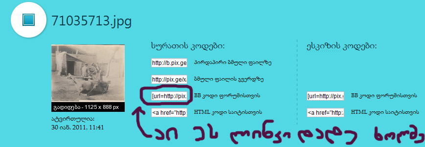 Untitled_1.jpg