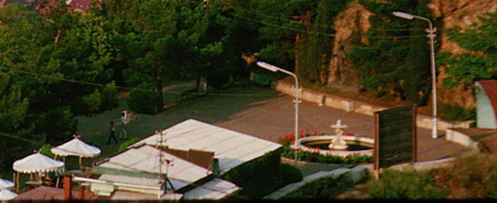 474.jpg