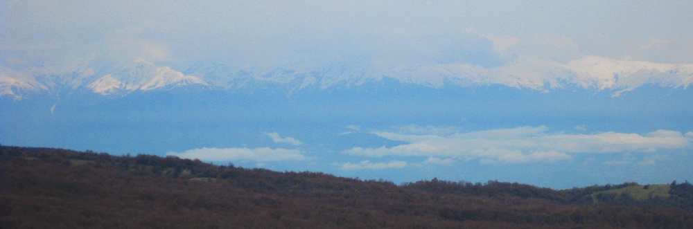 IMG_1860.jpg