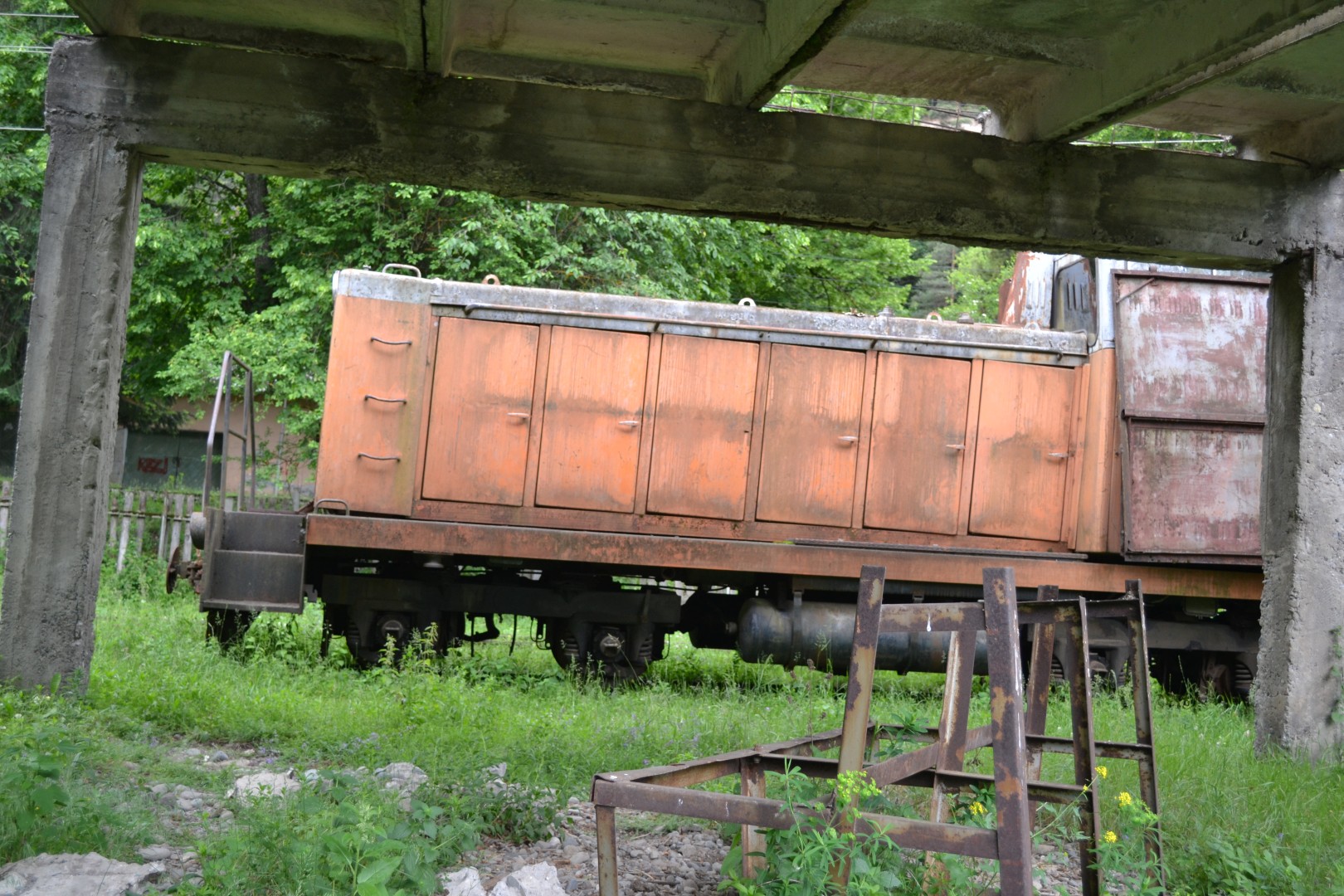 DSC_5517__Large_.JPG