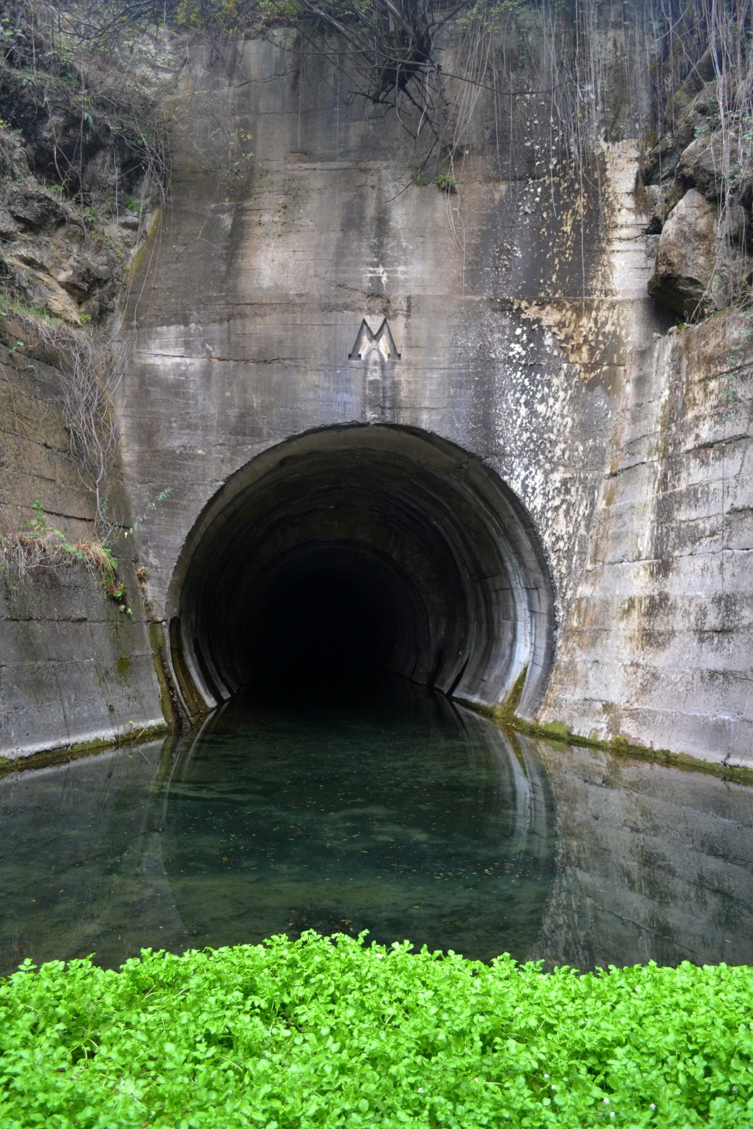 DSC_7284__Large_.jpg