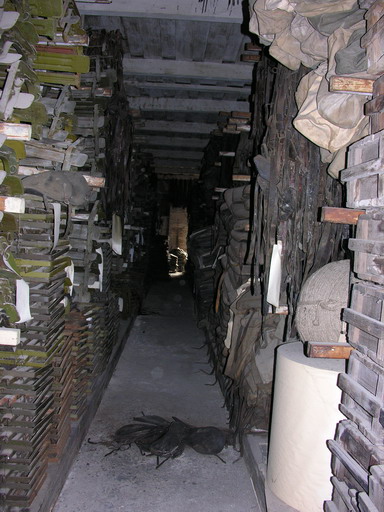 DSCN0252.jpg