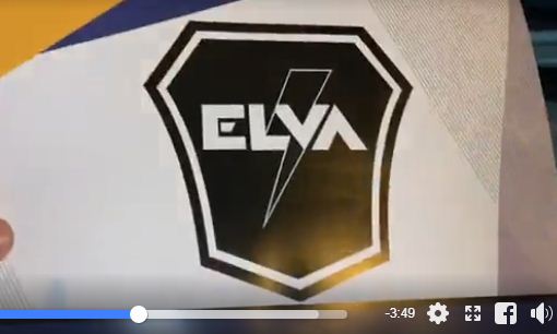 elva.JPG