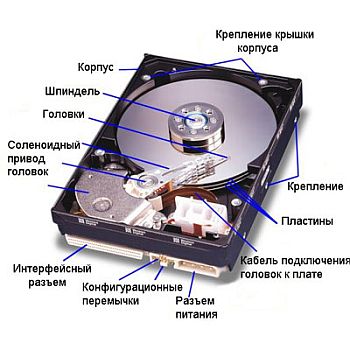 1253022769.jpg