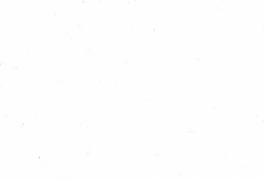 White_writing_29491444_516_350.jpg