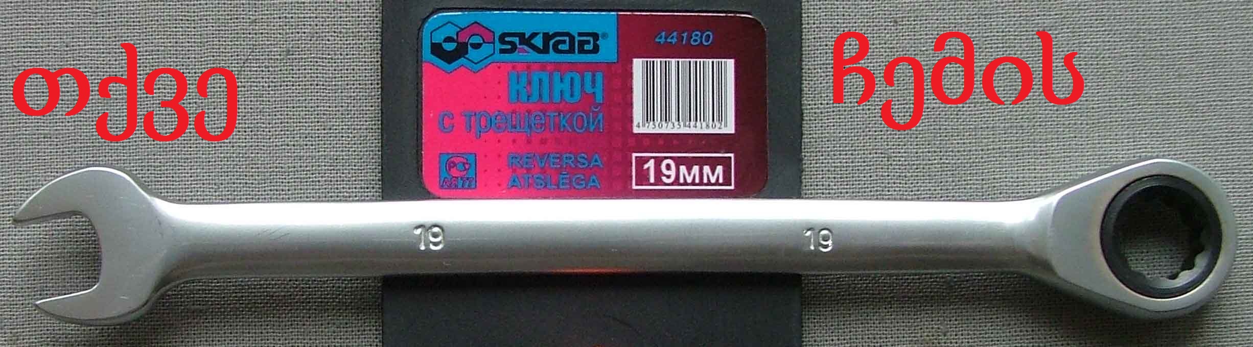 tqvechamis19.jpg
