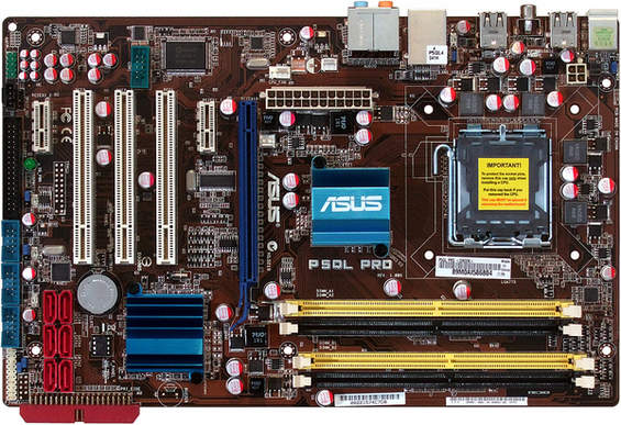 P5QL_PRO.jpg