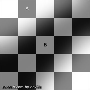 0c889e924a21.jpg