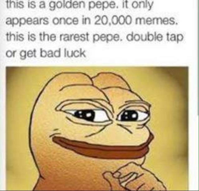 11695848_10204828188199820_7171619269491730086_n.jpg