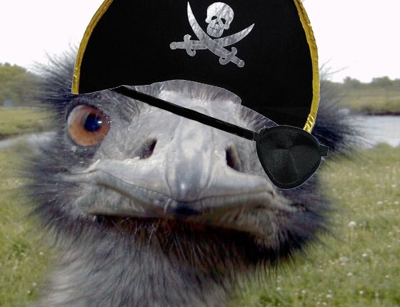 EmuPirate.jpg