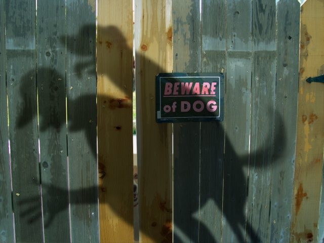 08_pics_55804.jpg
