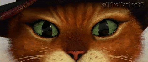 200_s.gif