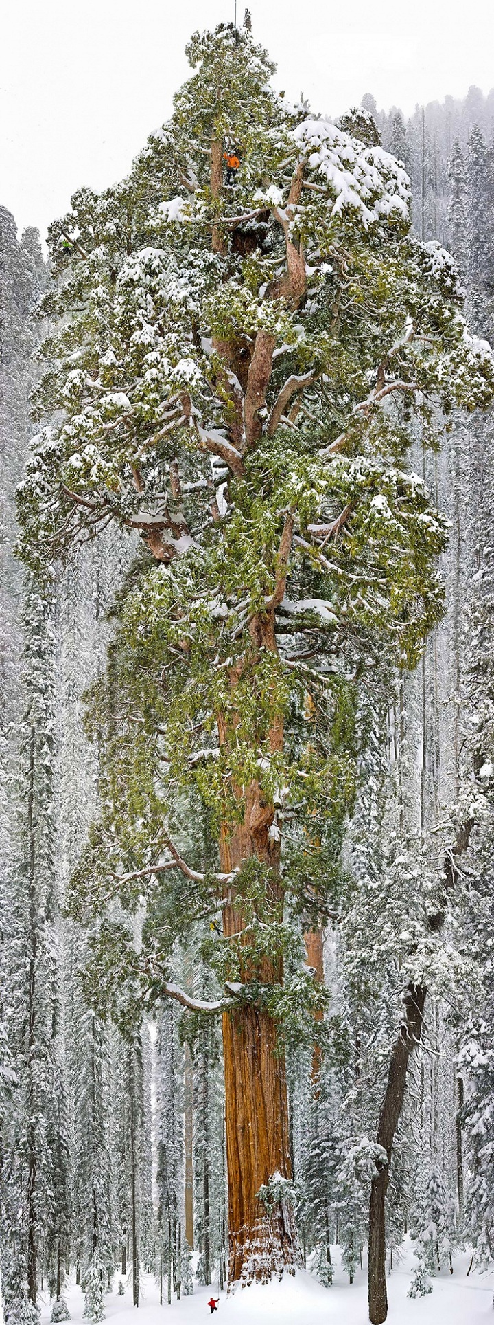 7631910_R3L8T8D_900_small_man_grand_nature_landscape_photography_24.jpg