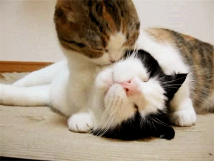 post_54_1441965472.gif