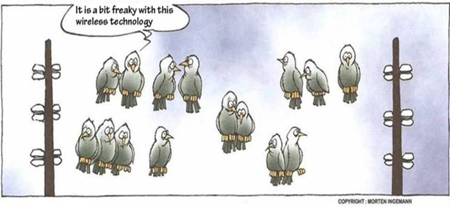 wireless_birds.jpg