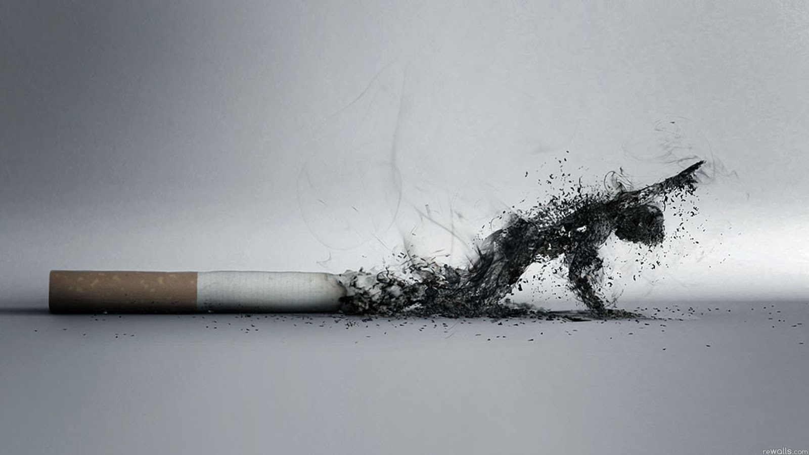 smoking_kills_quit_Wallpaper.jpg