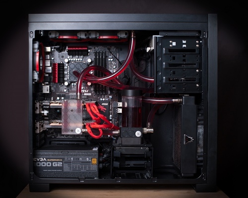500x1000px_LL_68bae6ed_TJM_1488small.jpg