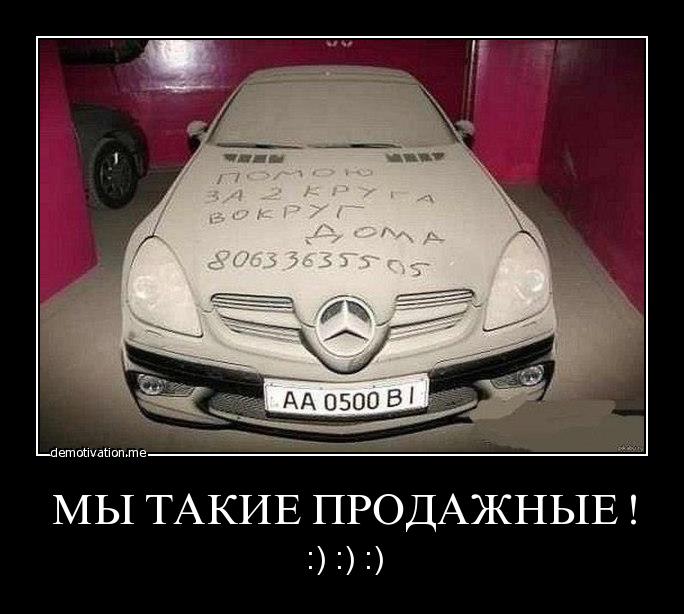 xdd.jpg