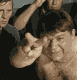 av_11047.gif