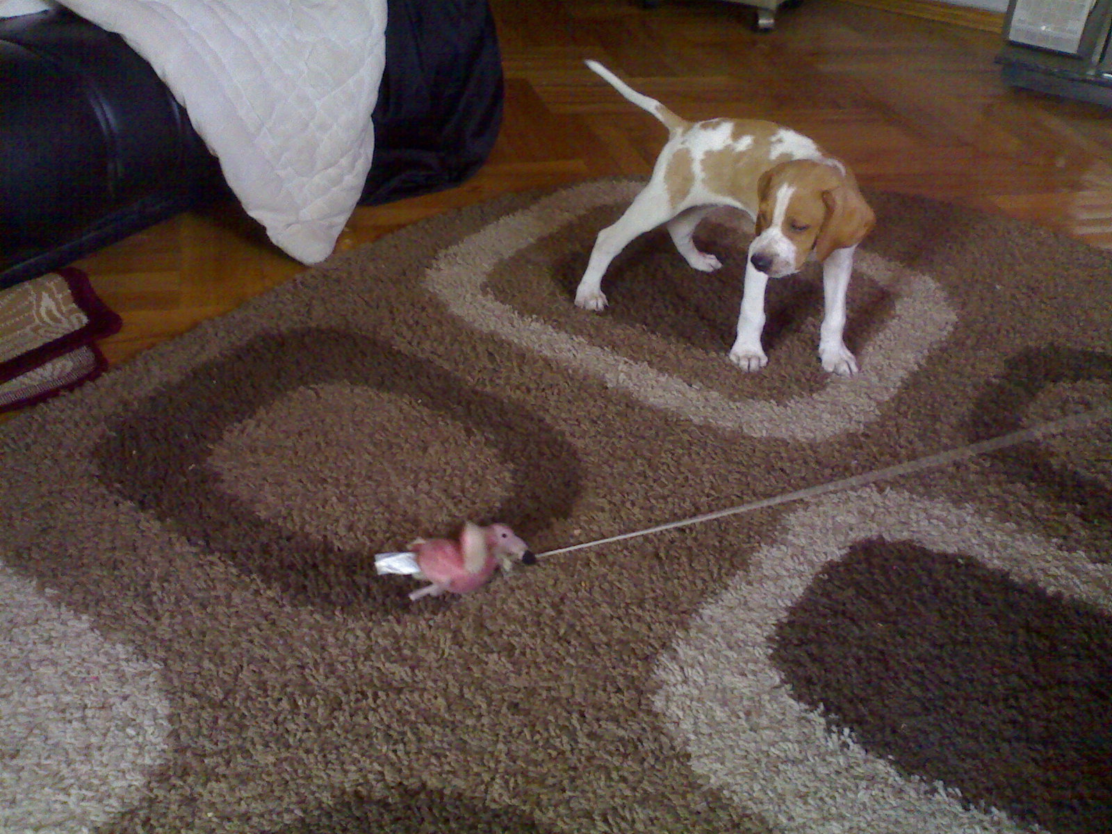 04082011728.jpg