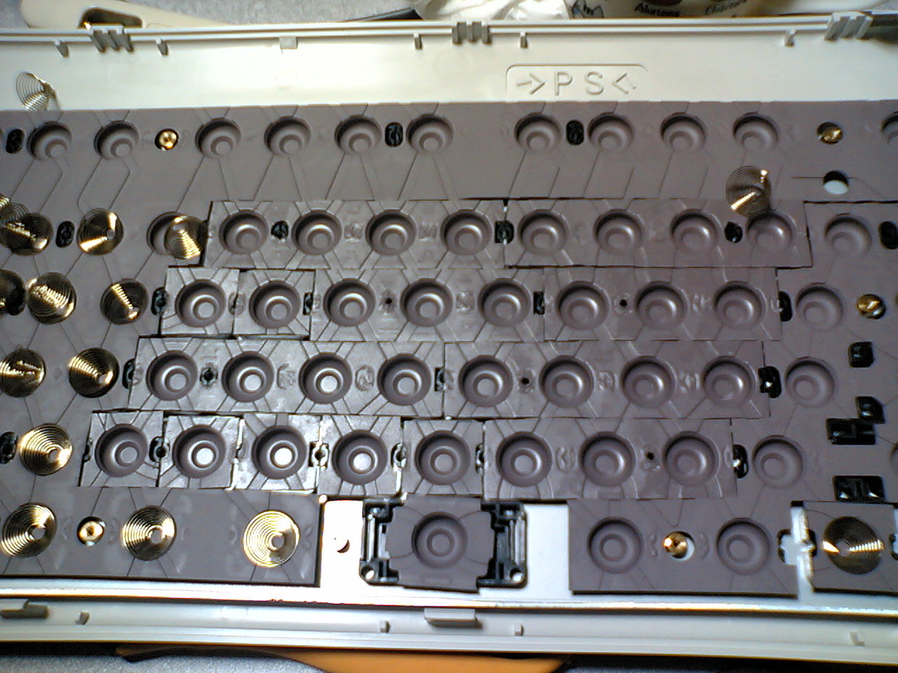 VFTS0488.jpg