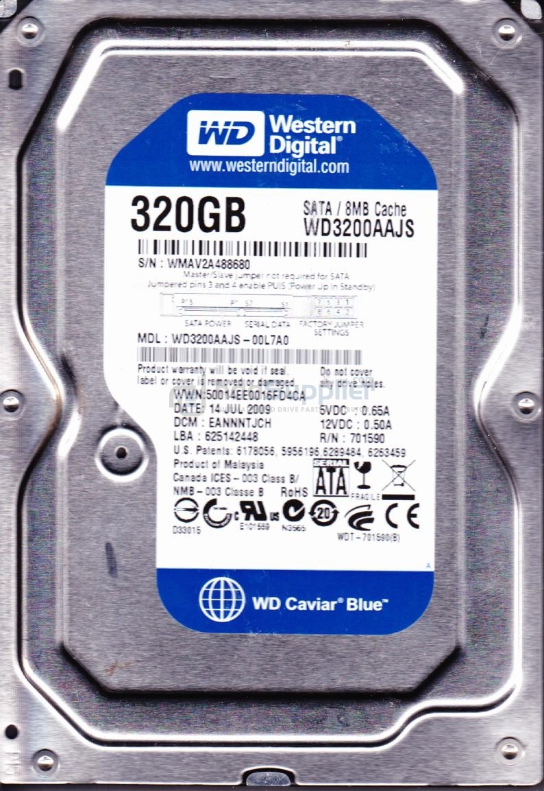 wd.jpg