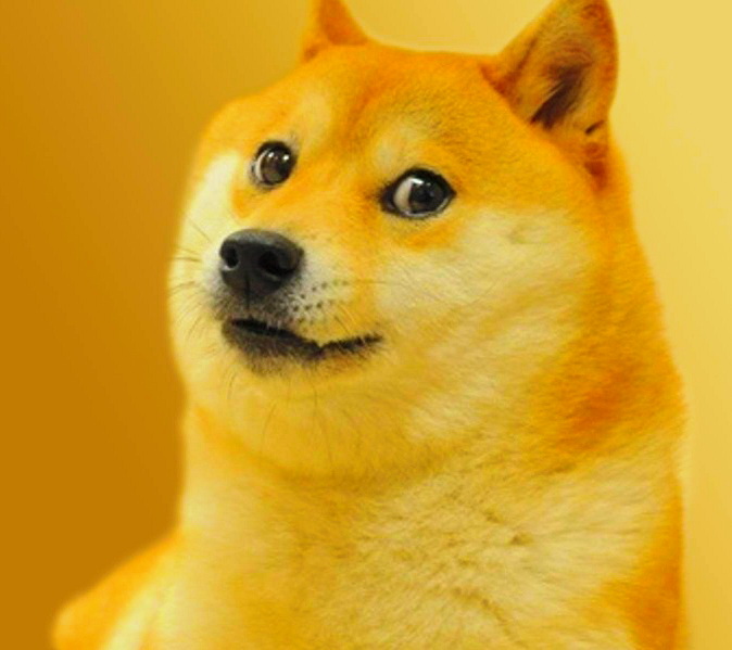 18360_doge_doge_simple.jpg