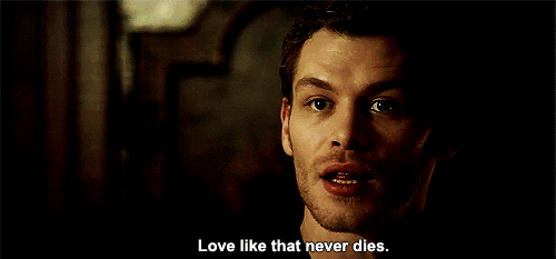 amazing_joseph_morgan_klaus_man_pretty_Favim.com_369034.gif