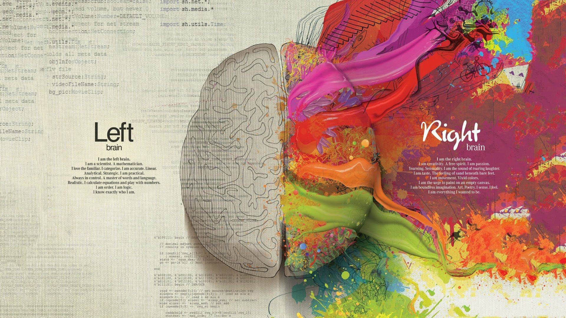 brain.jpg