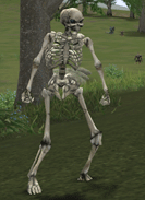 imgSummonMonster12.gif