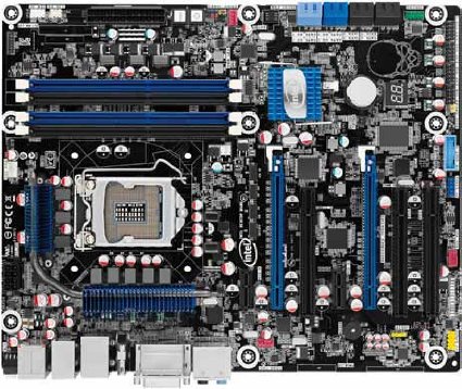 61tNZ8UH4OL._SX425_.jpg