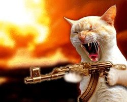cat_with_gun_pointing_left.jpg