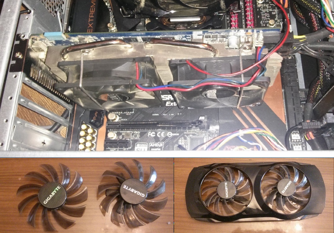 gpuasast111111111.jpg