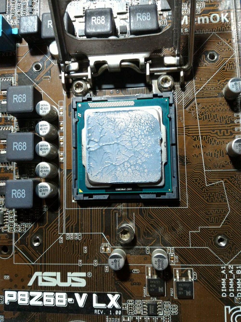 12992007_1158875917476540_1487440888_o.jpg