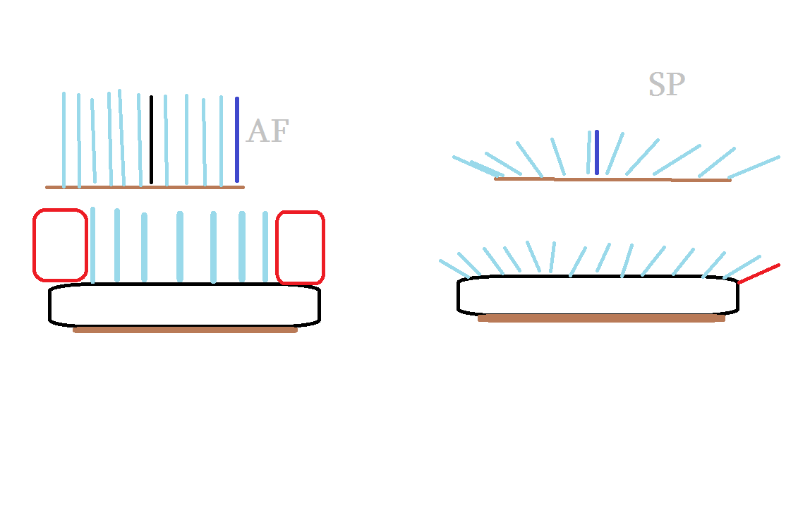 AF_VS_SP.png
