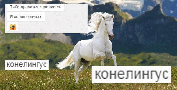 J2zRmmJQgG8.jpg