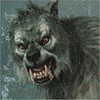 Volf.gif