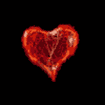 0_02495000_1160855101.gif