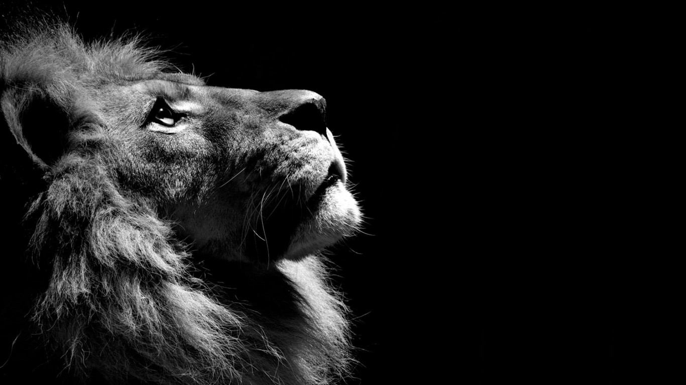 HD_Wallpapers_395_rDBhg6D.jpg