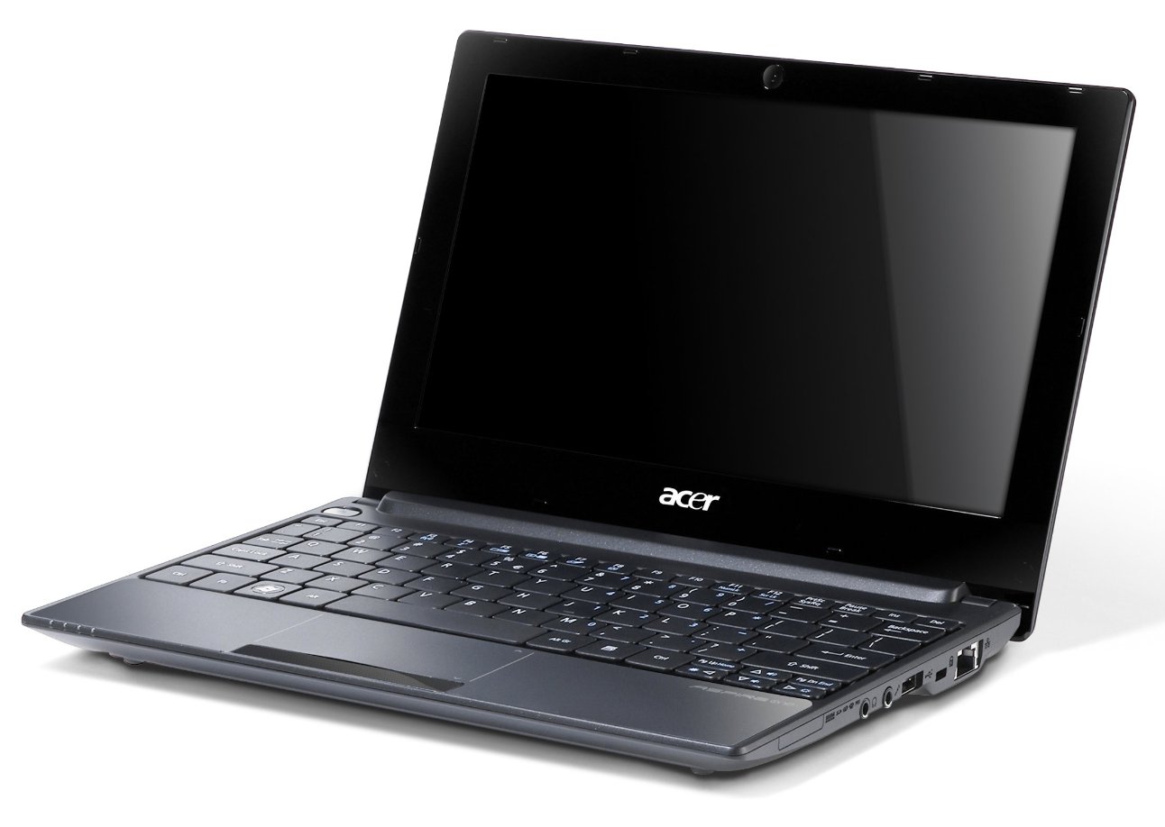 acer.jpg