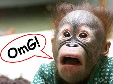 omg.jpg