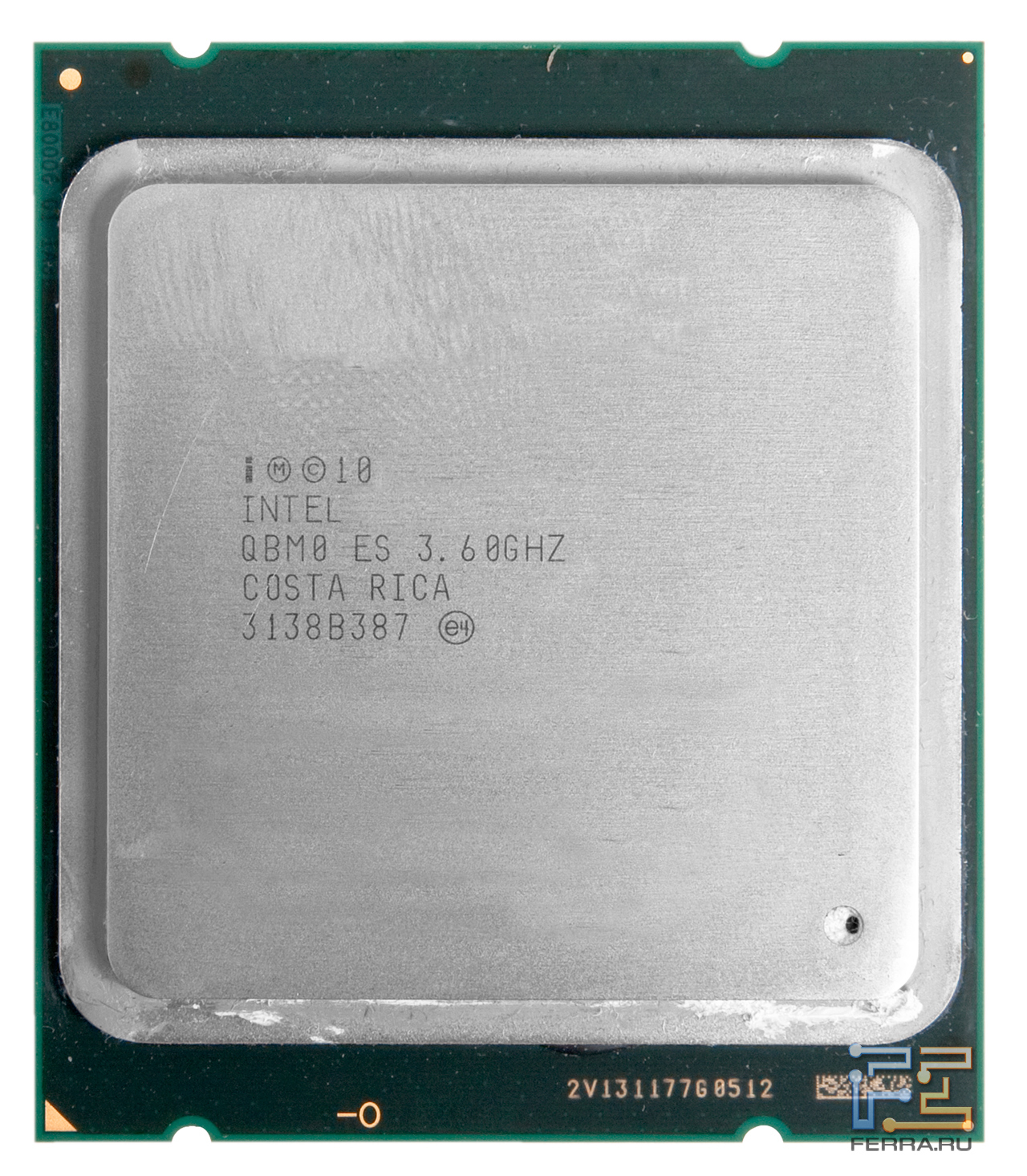 337596.jpg