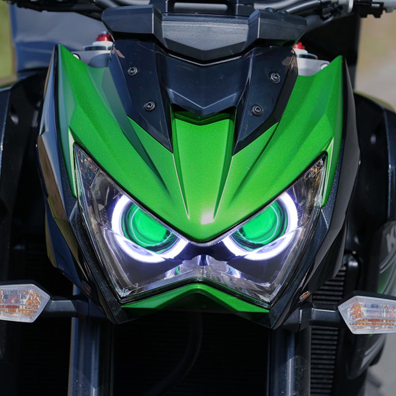 z800_2_g.jpg