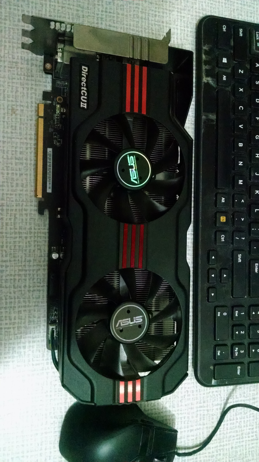 6801.jpg