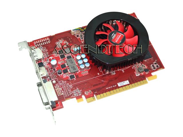 DELL01MPR3_02.jpg