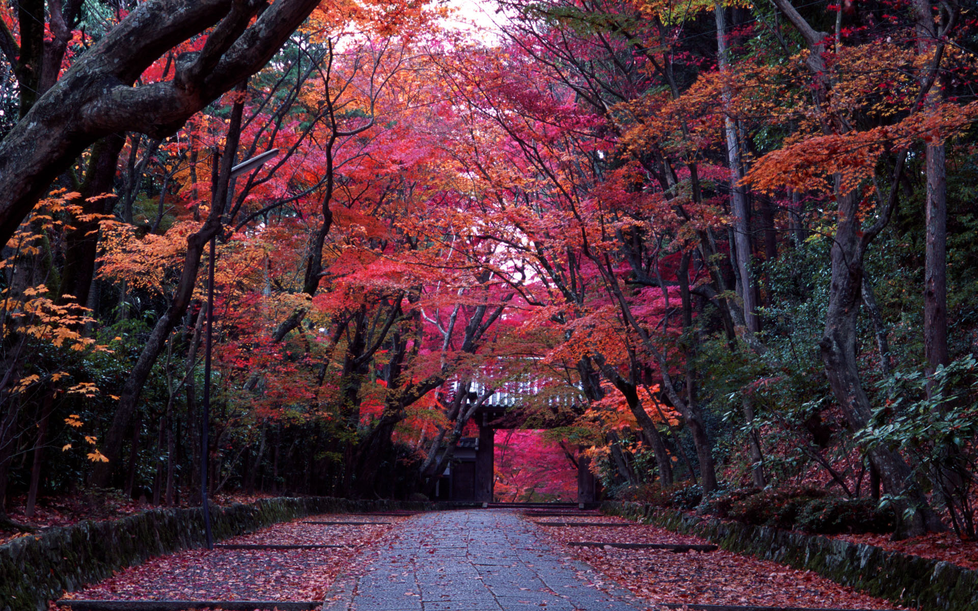 shrines_kyoto_japan_20912.jpg