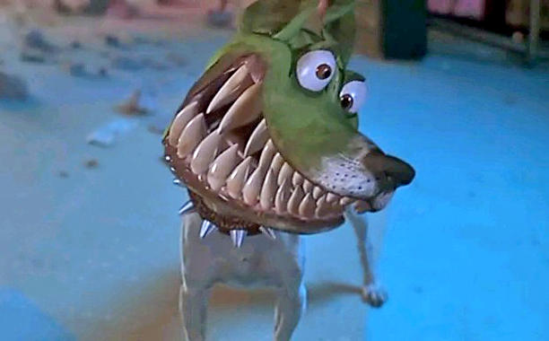 dogs_the_mask.jpg