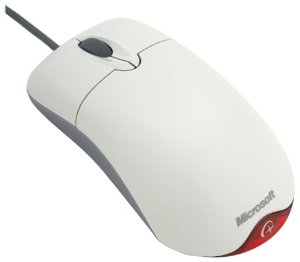 31N7ENCV2ZL._SX300_.jpg